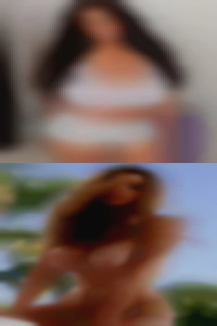 Mollidollar, 